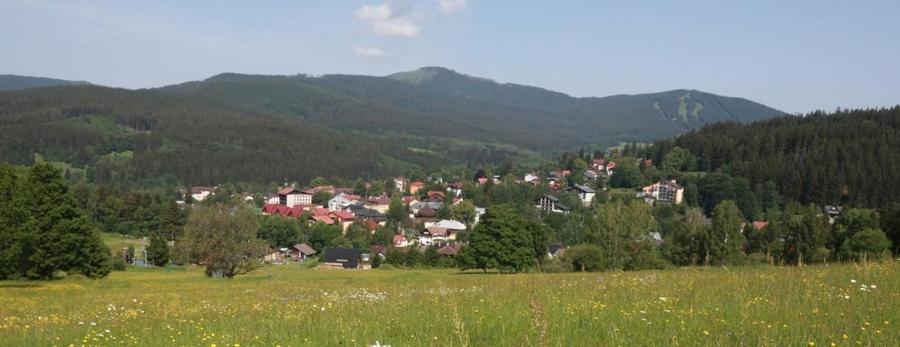 Apartmany U Sneka Železná Ruda Eksteriør billede